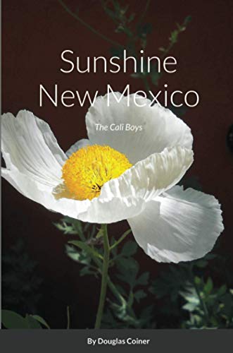 Sunshine New Mexico [Paperback]