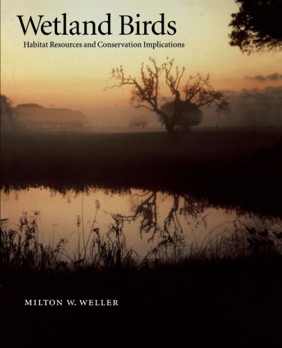 Wetland Birds Habitat Resources and Conservation Implications [Paperback]