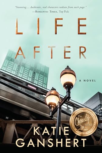 Life After A Novel [Paperback]