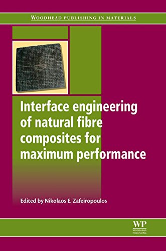 Interface Engineering of Natural Fibre Composites for Maximum Performance [Paperback]