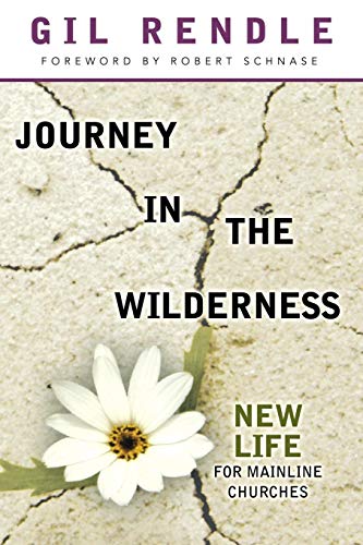 Journey In The Wilderness New Life For Mainline Churches [Paperback]