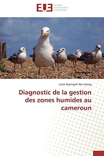 Diagnostic de la Gestion des Zones Humides Au Cameroun [Paperback]