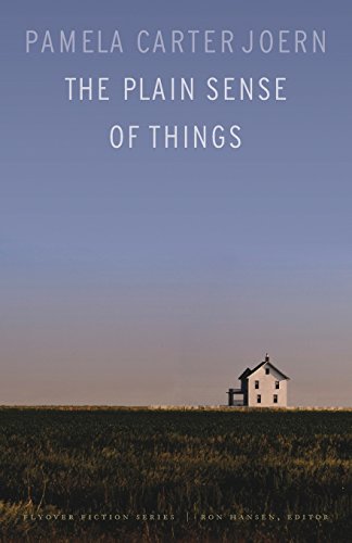 The Plain Sense Of Things (flyover Fiction) [Paperback]