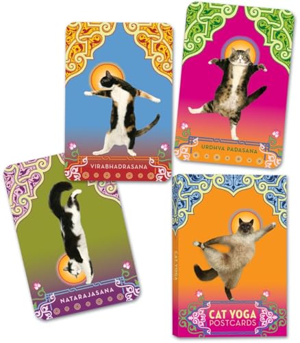 Cat Yoga Postcards [Cards]