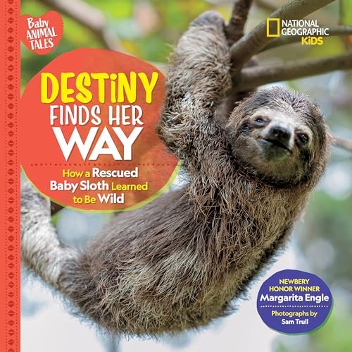 Destiny Finds Her Way How a Rescued Baby Sloth Learned to Be Wild [Hardcover]