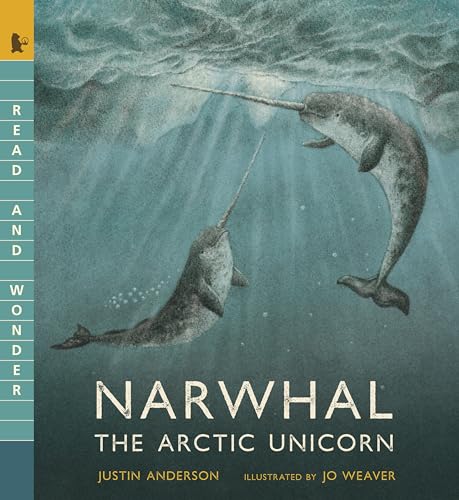 Narwhal The Arctic Unicorn Read and Wonder [Paperback]