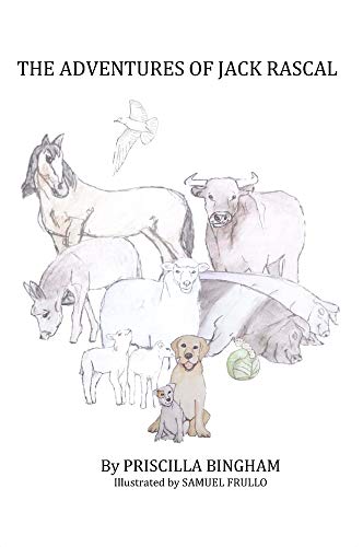 The Adventures of Jack Rascal [Paperback]