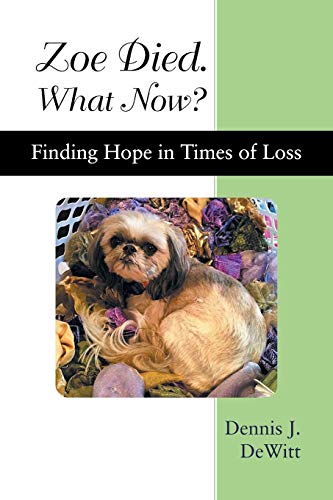 Zoe Died. What Now  Finding Hope in Times of Loss [Paperback]