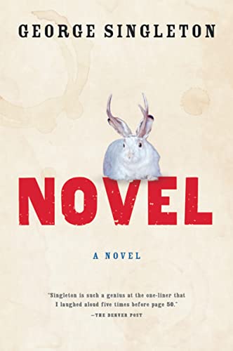 Novel [Paperback]