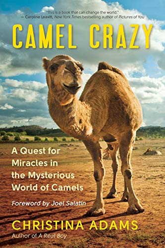 Camel Crazy A Quest for Miracles in the Mysterious World of Camels [Paperback]