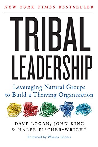 Tribal Leadership Leveraging Natural Groups To Build A Thriving Organization [Paperback]