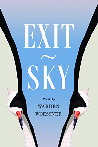 Exit-Sky [Paperback]