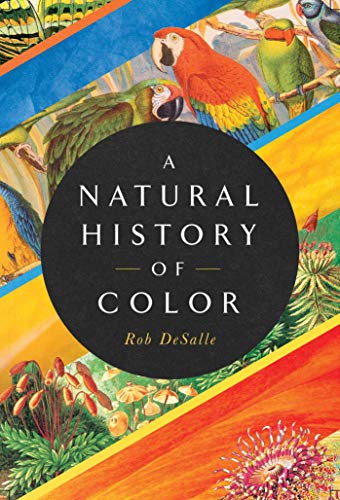 A Natural History of Color The Science Behind What We See and How We See it [Hardcover]