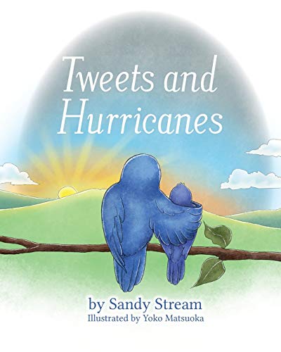 Tweets And Hurricanes (river Series) [Paperback]