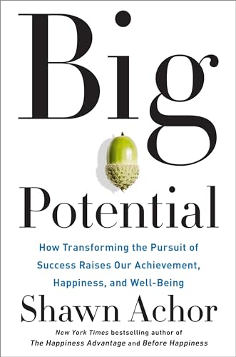 Big Potential How Transforming the Pursuit of Success Raises Our Achievement, H [Hardcover]