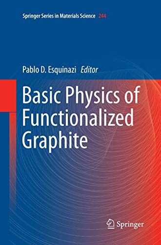 Basic Physics of Functionalized Graphite [Paperback]