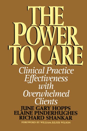 Power to Care Clinical Practice Effectiveness With Overwhelmed Clients [Paperback]