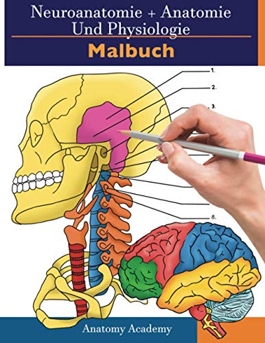 Neuroanatomie + Anatomie Und Physiologie Malbuch