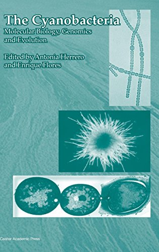 The Cyanobacteria Molecular Biology, Genomics And Evolution [Hardcover]