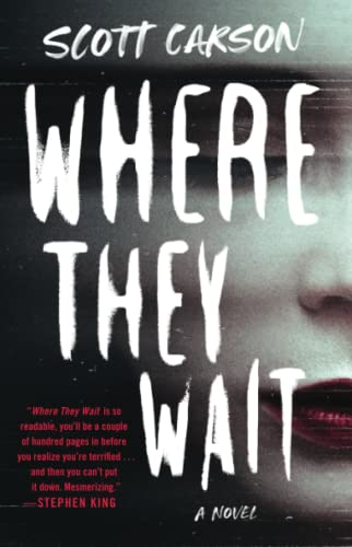 Where They Wait A Novel [Paperback]