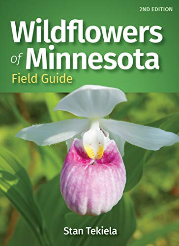 Wildflowers of Minnesota Field Guide [Paperback]