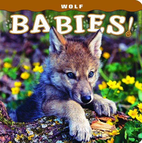 Wolf Babies [Board book]
