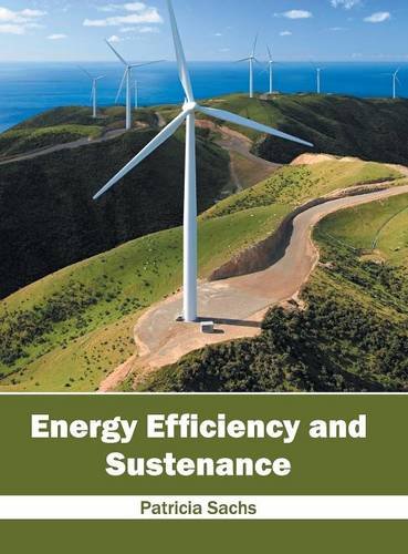 Energy Efficiency and Sustenance [Hardcover]