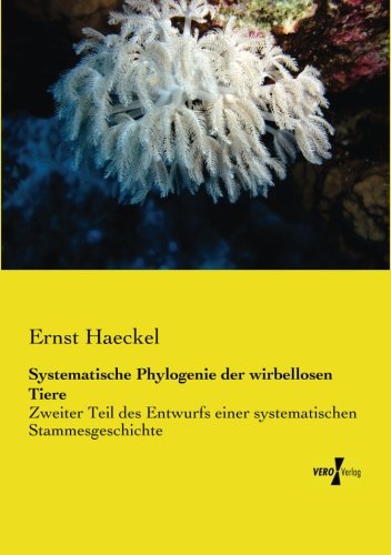 Systematische Phylogenie der Wirbellosen Tiere [Paperback]