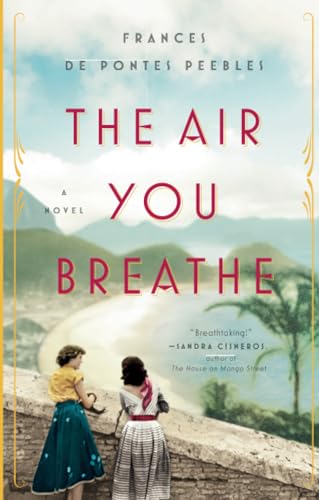 The Air You Breathe A Novel [Paperback]