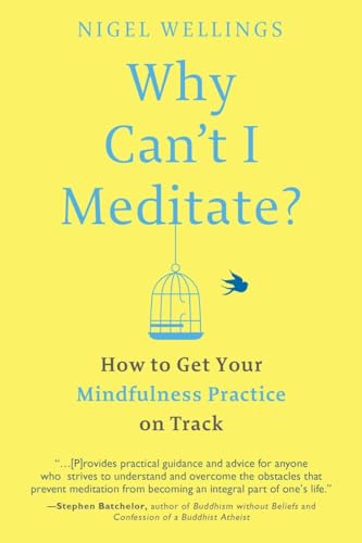 Why Can't I Meditate How to Get Your Mindfulness Practice on Track [Paperback]