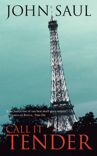 Call It Tender (salt Modern Fiction) [Paperback]