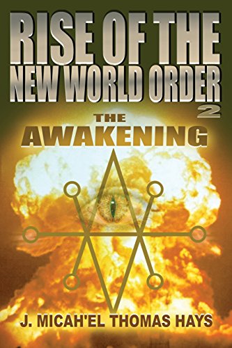 Rise Of The New World Order 2 The Awakening [Paperback]