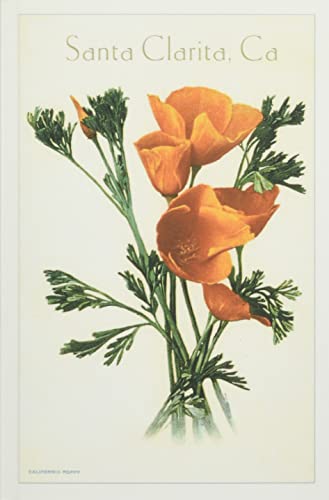 Vintage Journal California Poppy, Santa Clarita