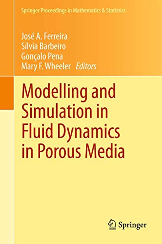 Modelling and Simulation in Fluid Dynamics in Porous Media [Paperback]