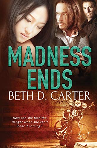 Madness Ends [Paperback]