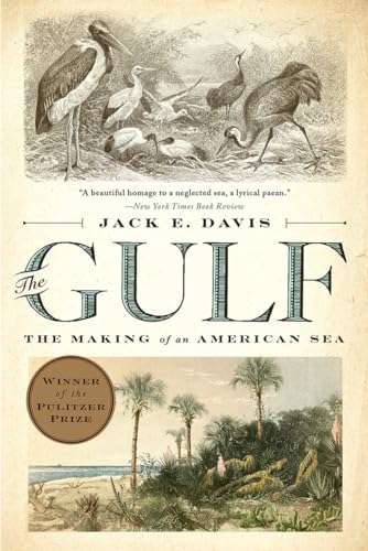 The Gulf The Making of An American Sea [Paperback]