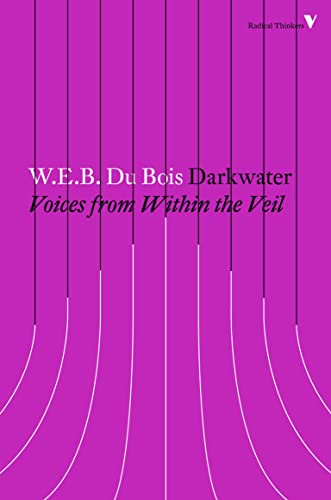 Darkwater Voices from Within the Veil [Paperback]