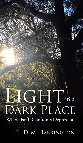 Light in a Dark Place  Where Faith Confronts Depression [Hardcover]