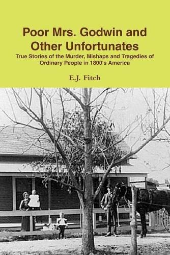 Poor Mrs. Godwin and Other Unfortunates [Paperback]