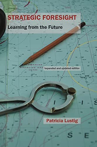 Strategic Foresight Learning from the Future [Paperback]