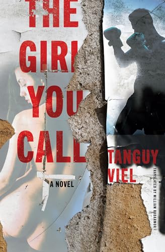 The Girl You Call A Novel [Paperback]