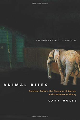 Animal Rites American Culture, the Discourse of Species, and Posthumanist Theor [Paperback]