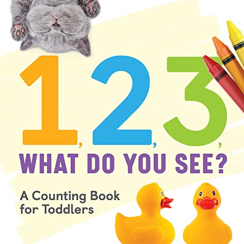 1, 2, 3, What Do You See A Counting Book for Toddlers [Paperback]