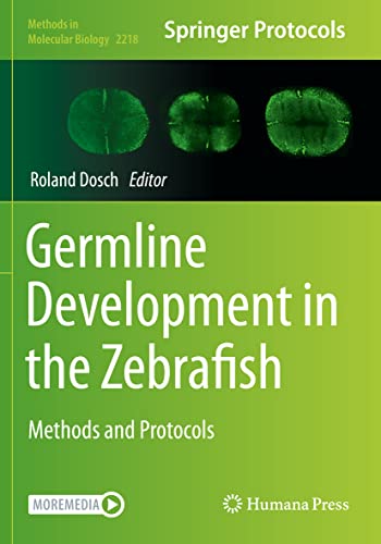 Germline Development in the Zebrafish Methods and Protocols [Paperback]