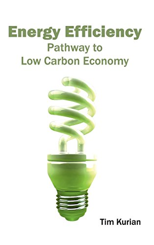 Energy Efficiency Pathway To Low Carbon Economy [Hardcover]