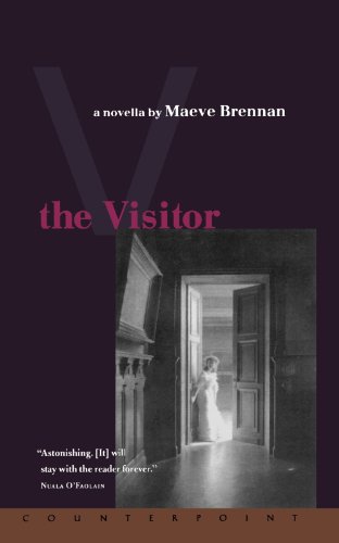 The Visitor [Paperback]
