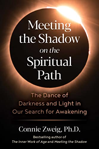 Meeting the Shadow on the Spiritual Path The Dance of Darkness and Light in Our [Paperback]