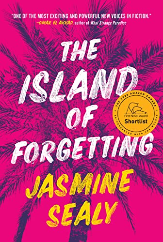 The Island of Forgetting A Novel [Paperback]