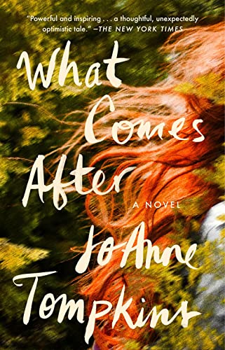What Comes After A Novel [Paperback]