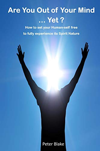 Are You Out of Your Mind ... yet  How to Free Your Human-Self to Fully Experie [Paperback]